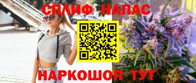 индика Ипатово