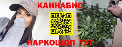 индика Ипатово