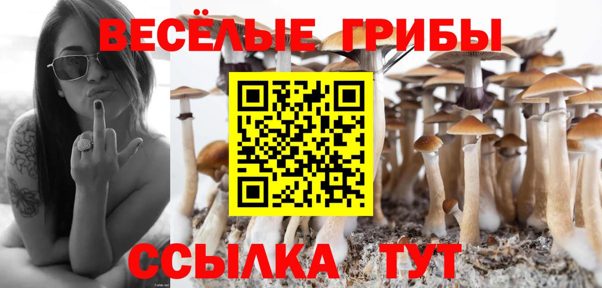 Галлюциногенные грибы прущие грибы Малгобек