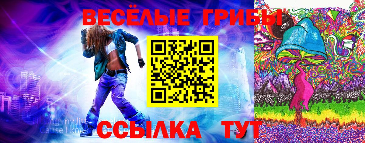 Малгобек  Галлюциногенные грибы Psilocybine cubensis  Псилоцибиновые грибы ЛСД  где купить наркоту  Вход с VPN 